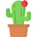 cactus icon