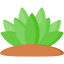 agave icon