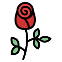 rosa icon