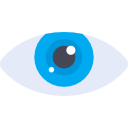 ojo icon