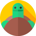 tortuga icon