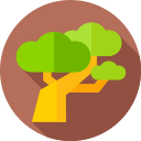 bonsai icon