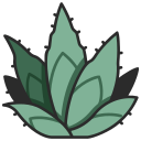 agave icon