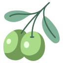 aceituna