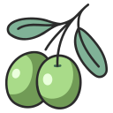 aceituna