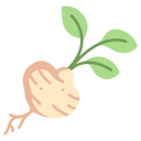 vegetal icon