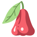 manzana rosa icon