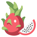 dragon de fruta icon