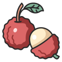 lychee icon