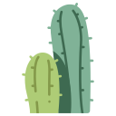 cactus icon