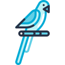 loro icon