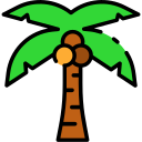 Árbol de coco