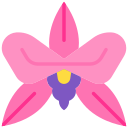 orquídea icon