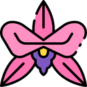 orquídea