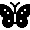 mariposa 