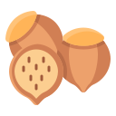 castanha 