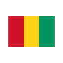 guinea icon