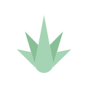 agave icon