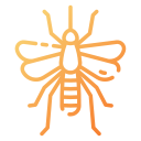 mosquito 