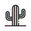 cactus icon