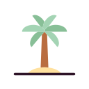 palmera