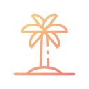 palmera