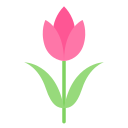 tulipán icon