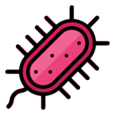 bakterien 