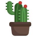 cactus icon