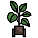 gummibaum icon