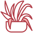 planta araña icon