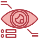 ojo icon