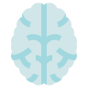 cerebro humano icon