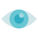 ojo icon