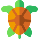 tortuga 