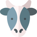 vaca 