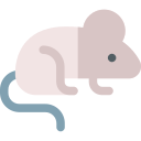 ratón 