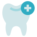 premolar icon