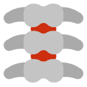 columna vertebral