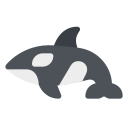 orca icon