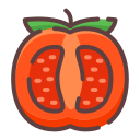 tomate icon