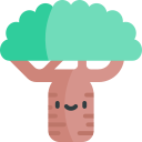 baobab icon