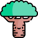 baobab icon