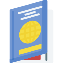 pasaporte icon