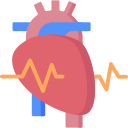 Cardiology 