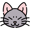 Кот 