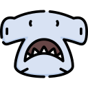 hammerhead 