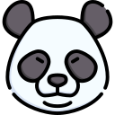 panda 