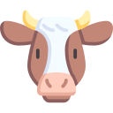 vaca 