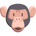 chimpance icon